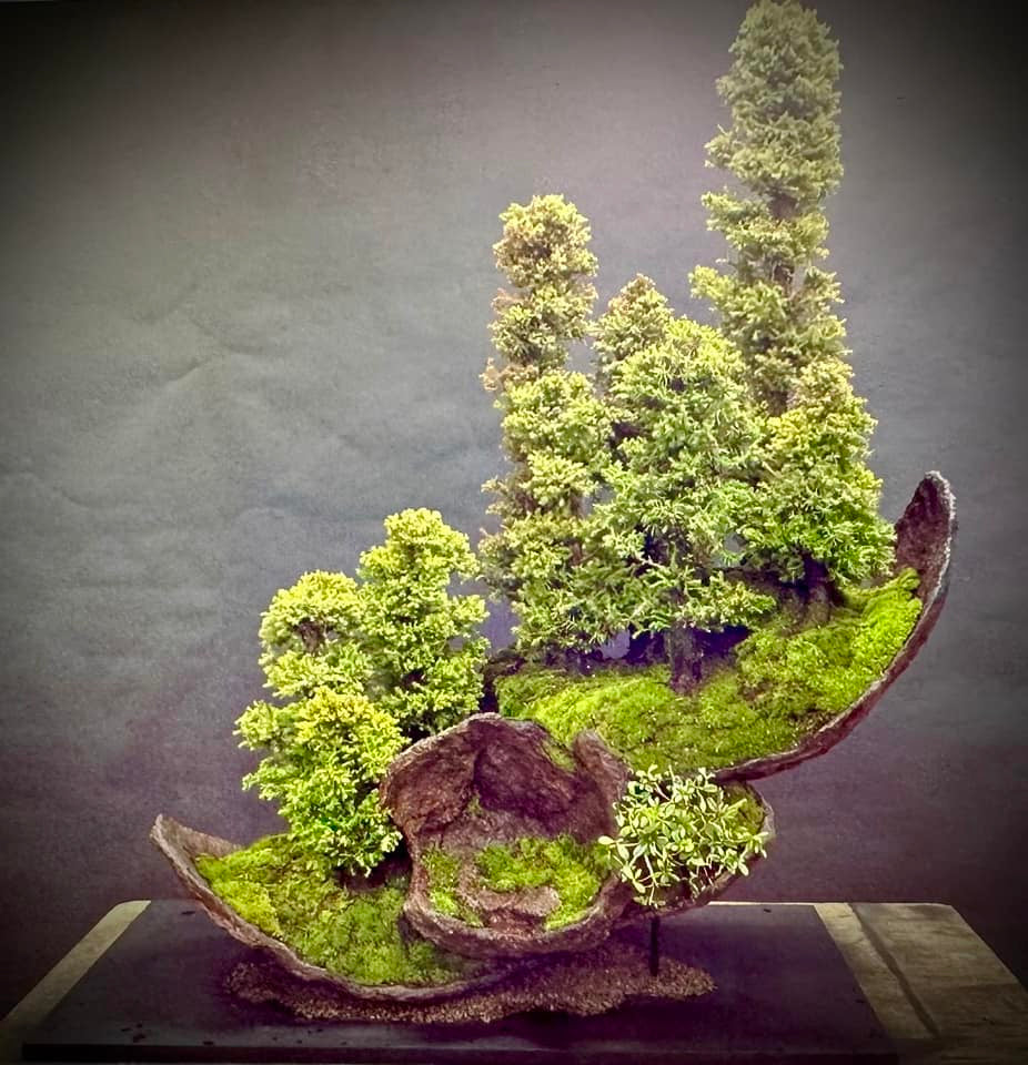 Marc Noelander's Extraordinary Mountain Forest Planting – Stone