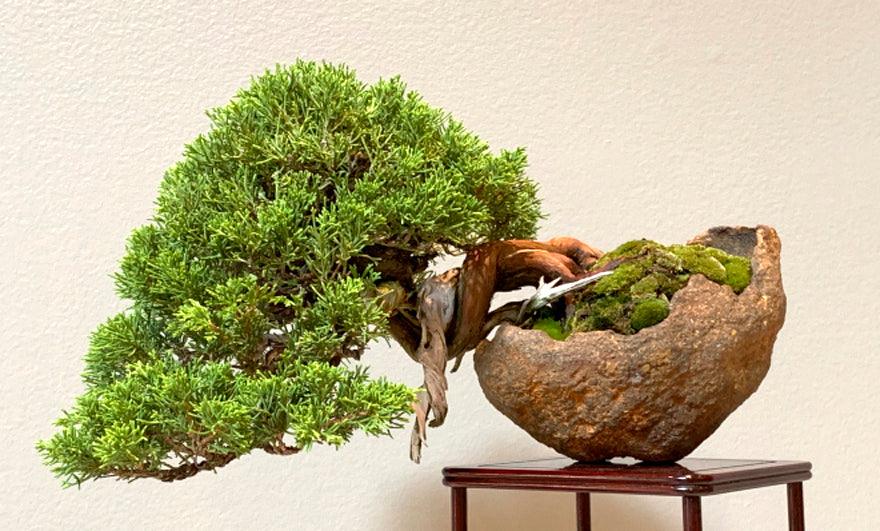 餌木猿 7th memorial 餌木猿 7th memorial 餌木猿 7th memorial 餌木猿 7th memorial