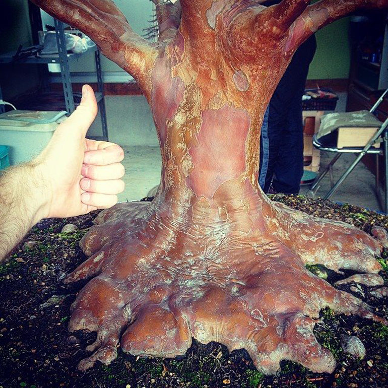 Developing Nebari While Transplanting Bonsai  Stone Lantern