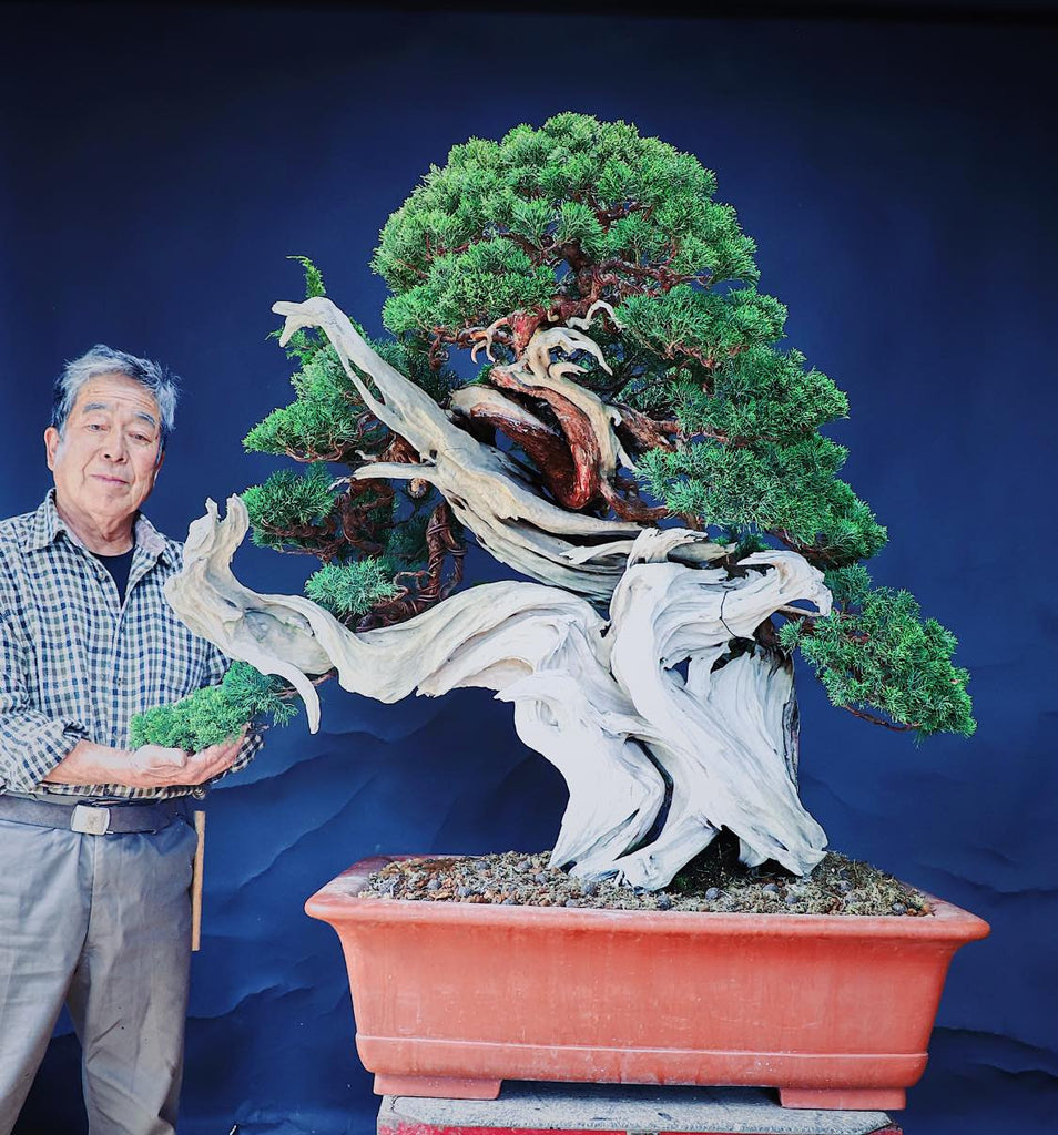 bonsai tree food All Purpose Bonsai Fertilizer – Bonsai Supply main image 1