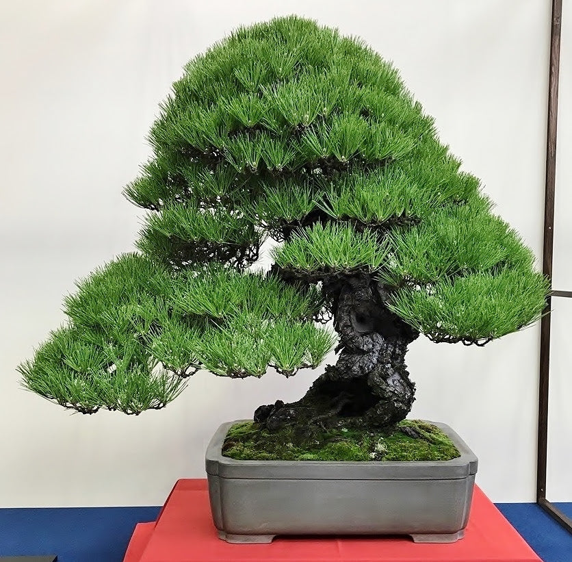 Powerful Japanese Masterpieces – Stone Lantern