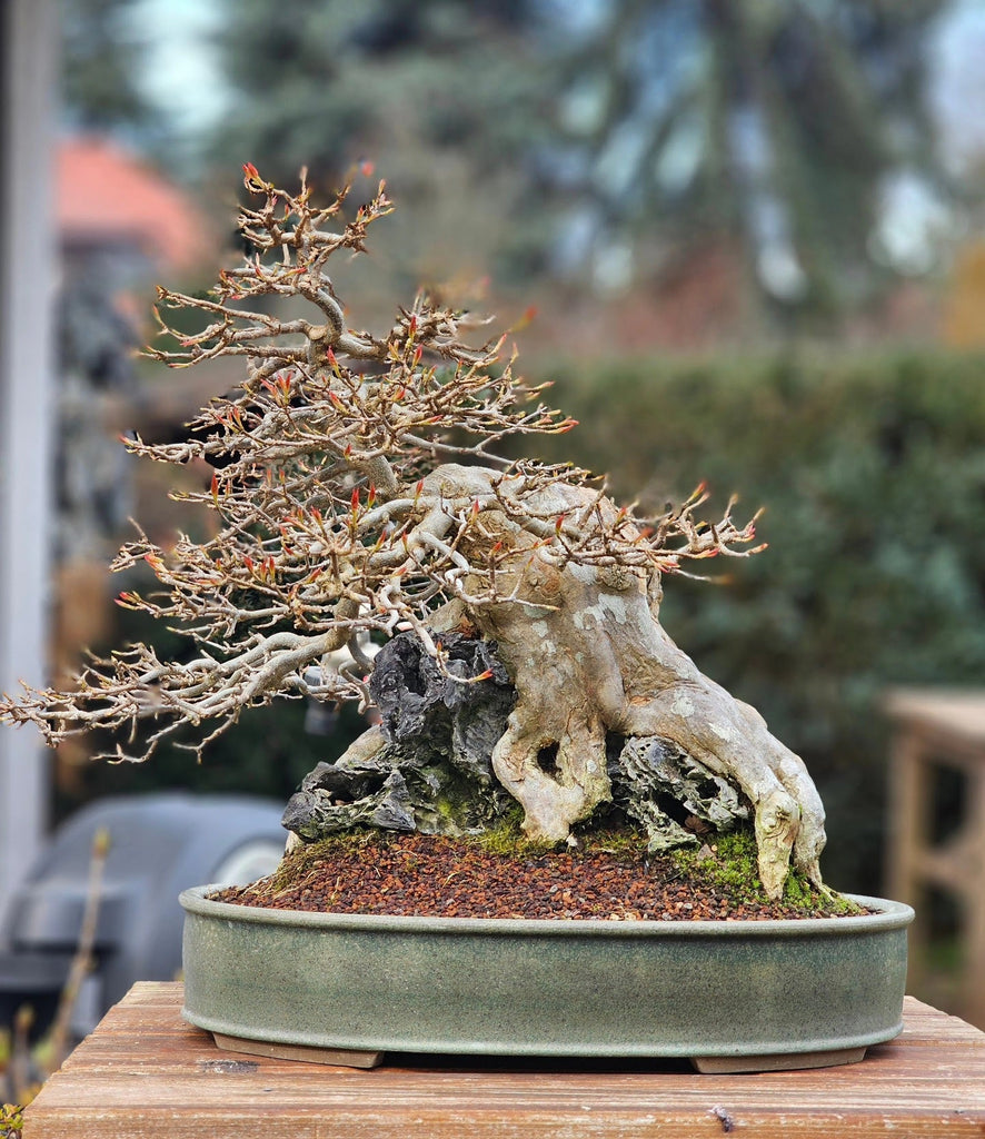 unnamed_9_96199c28-bb72-426c-