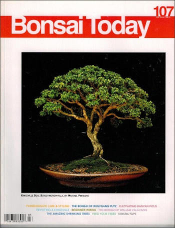 Bonsai Today 107 - Limited Issues Left In Stock