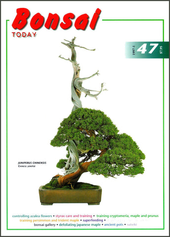 Bonsai Today 47 - Out of Print - Rare