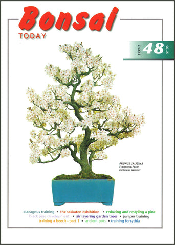 Bonsai Today 48 - Out of Print - Rare