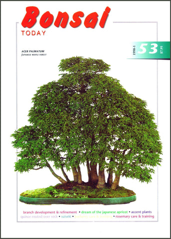 Bonsai Today 53 - Out of Print - Rare