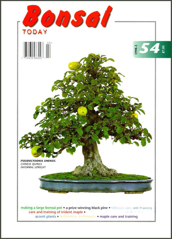 Bonsai Today 54 - Out of Print - Rare