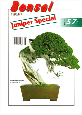 Bonsai Today 57 - Out of Print - Rare