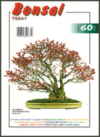Bonsai Today 60 - Out of Print - Rare