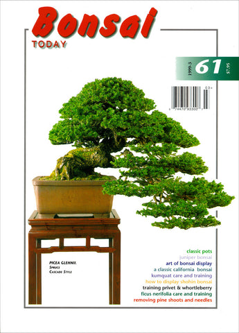 Bonsai Today 61 - Out of Print - Rare