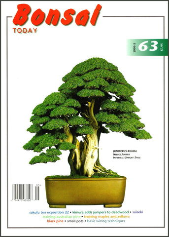 Bonsai Today 63 - Out of Print - Rare