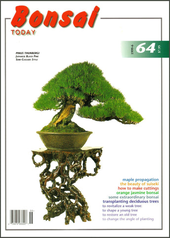 Bonsai Today 64 - Out of Print - Rare