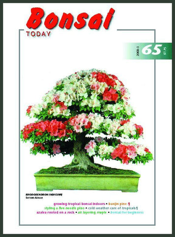 Bonsai Today 65 - Out of Print - Rare