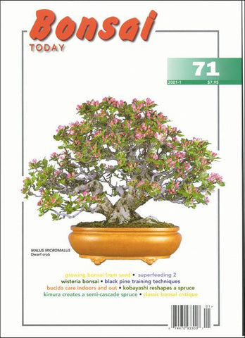 Bonsai Today 71 - Out of Print - Rare