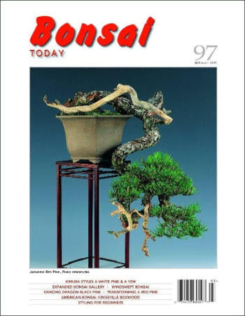 Bonsai Today 97 - Limited Issues Left In Stock