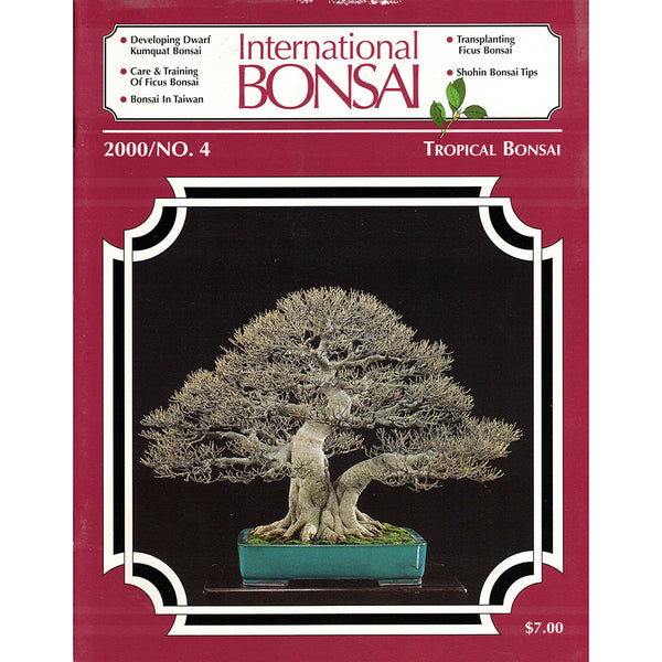 International Bonsai - 2000 No 4 - Limited Back Issues – Stone Lantern