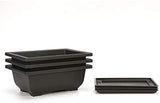 Rectangle Plastic Bonsai Pot with Tray - Medium  9"