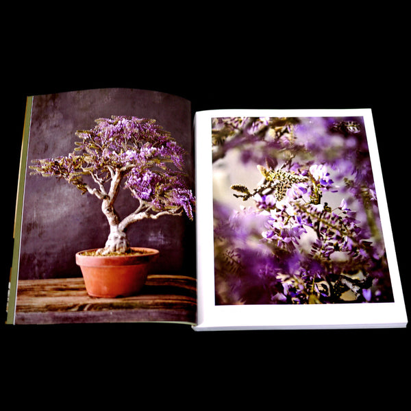 The Essential Bonsai Book by Jonas Dupuich – Stone Lantern