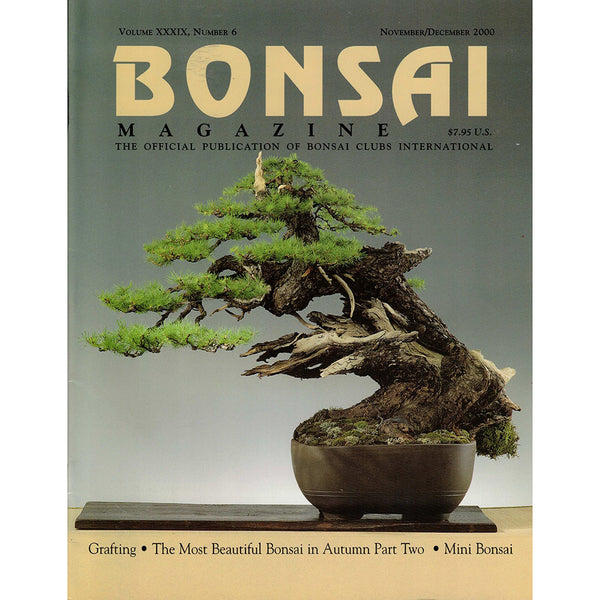 bonsai tree magazine Bonsai Magazine - Bonsai Clubs International - Nov-Dec 2000