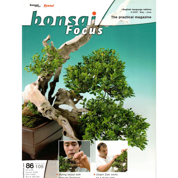 bonsai focus magazine Bonsai Focus Magazine - 2007 No 3