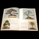 Bonsai For Pleasure - Out of Print