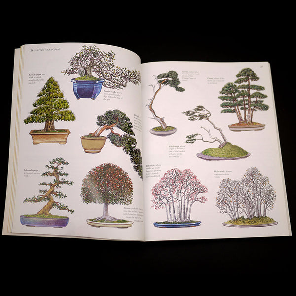 How-to Bonsai tree care, Bonsai Survival Manual  Stone Lantern