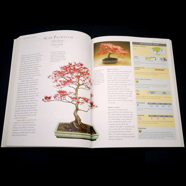 Bonsai Survival Manual by Colin Lewis