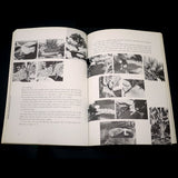 Bonsai With American Trees - Out of Print - Signed*