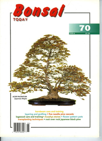 Bonsai Today 70 - Out of Print - Rare