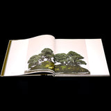 In Training by Stephen Voss - LIMITED EDITION
