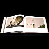 In Training by Stephen Voss - LIMITED EDITION