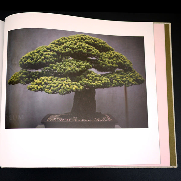 Bonsai: A Patient Art 洋書 Bonsai A Patient Art - メルカリ