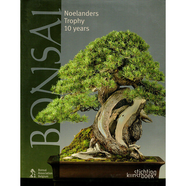 How-to Bonsai tree care, Bonsai Survival Manual – Stone Lantern