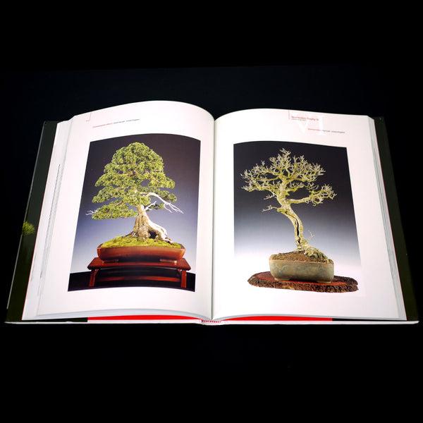 Bonsai: A Patient Art 洋書 Amazon.com: Bonsai: A Patient Art: 9780300190908: Nakamura, Susumu