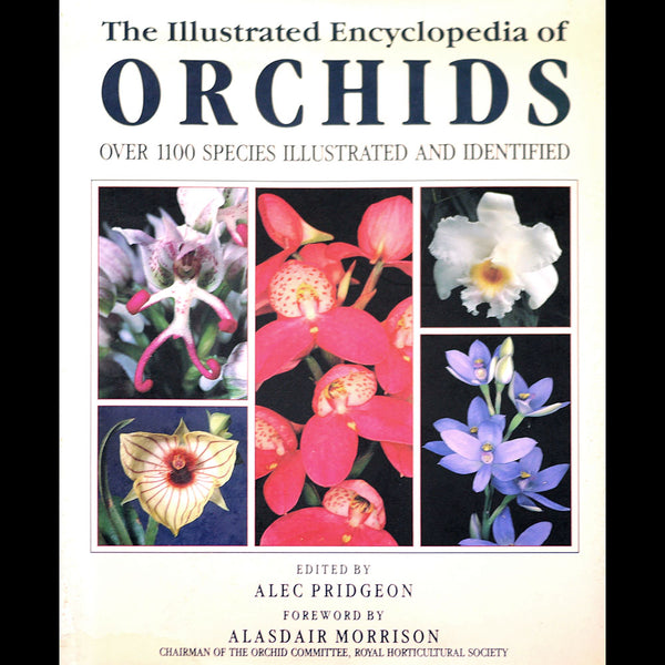 The Illustrated Encyclopedia of Orchids - Out of Print – Stone Lantern