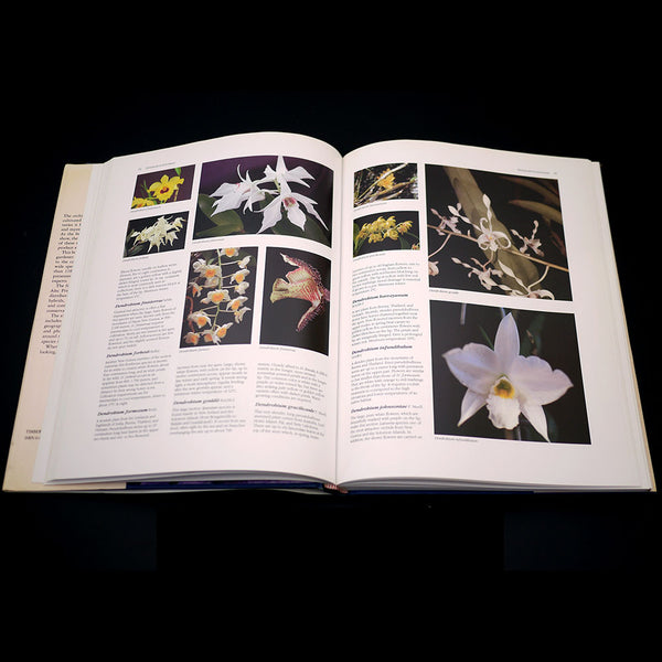 The Illustrated Encyclopedia of Orchids - Out of Print – Stone Lantern