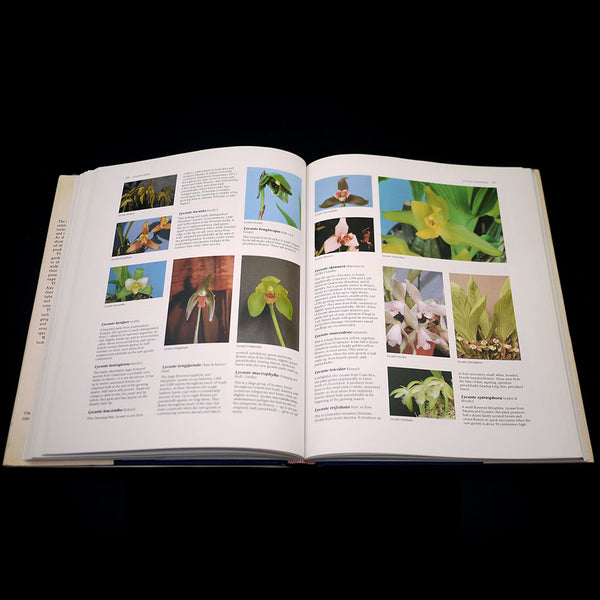 The Illustrated Encyclopedia of Orchids - Out of Print – Stone Lantern