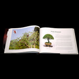 60% OFF Saikei & Art: Miniature Landscapes