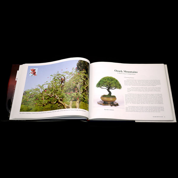 Bonsai: A Patient Art 洋書 Bonsai: A Patient Art 洋書 Bonsai: A Patient Art 洋書 Bonsai