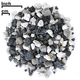 All Purpose Coarse Bonsai Soil Mix - 1 Gallon