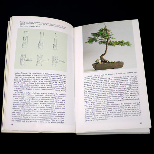 Simon & Schuster's Guide to Bonsai
