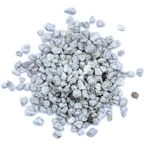 Pumice Bonsai Soil Component - Medium to Large Particles - Domestic - gallon bag