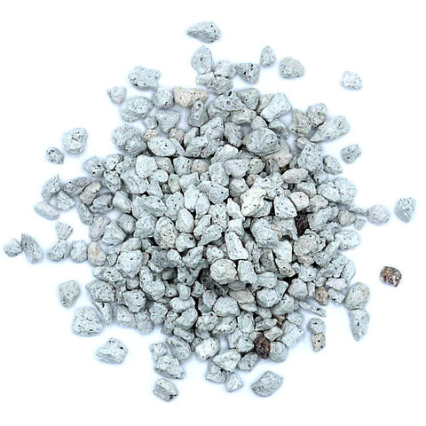 Pumice Bonsai Soil Component - Medium to Large Particles - Domestic - quart bag