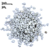 Pumice Bonsai Soil Component - Medium to Large Particles - Domestic - gallon bag