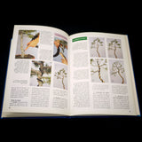 Bonsai Técnicas Básicas De Cultivo - Out of Print