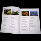 The Bonsai Workshop