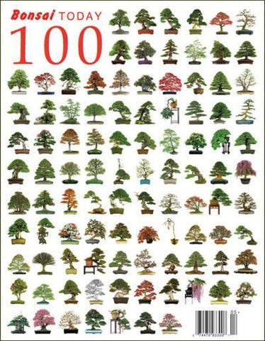 Bonsai Today 100 - Limited Issues Left In Stock