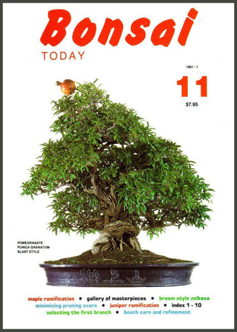 Bonsai Today 11 - Out of Print - Rare