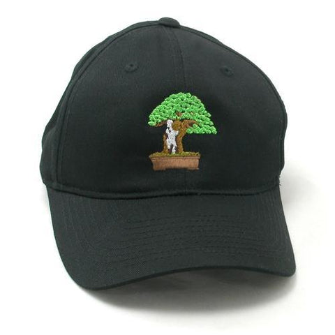 Embroidered Baseball Cap