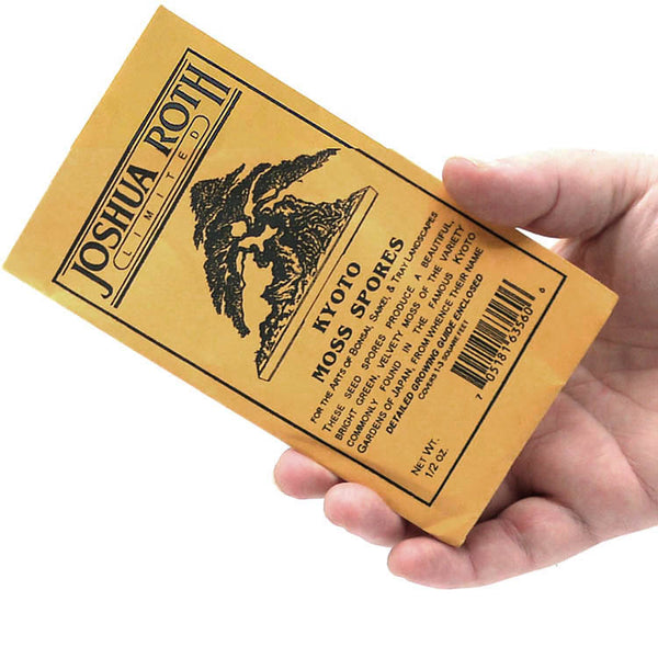 Kyoto Bonsai Tree Moss Spores – Stone Lantern